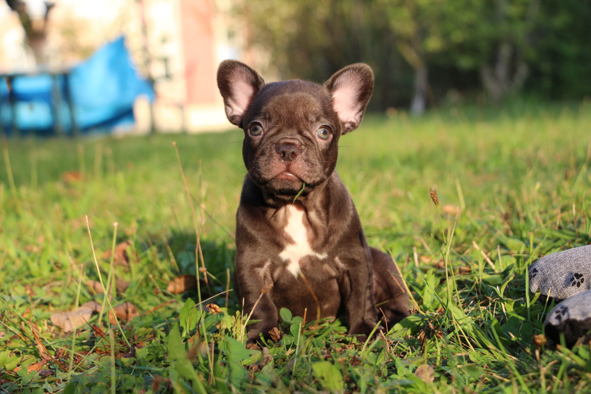 <svg class='green'></svg> <b>Nori</b> <svg class='green'></svg>