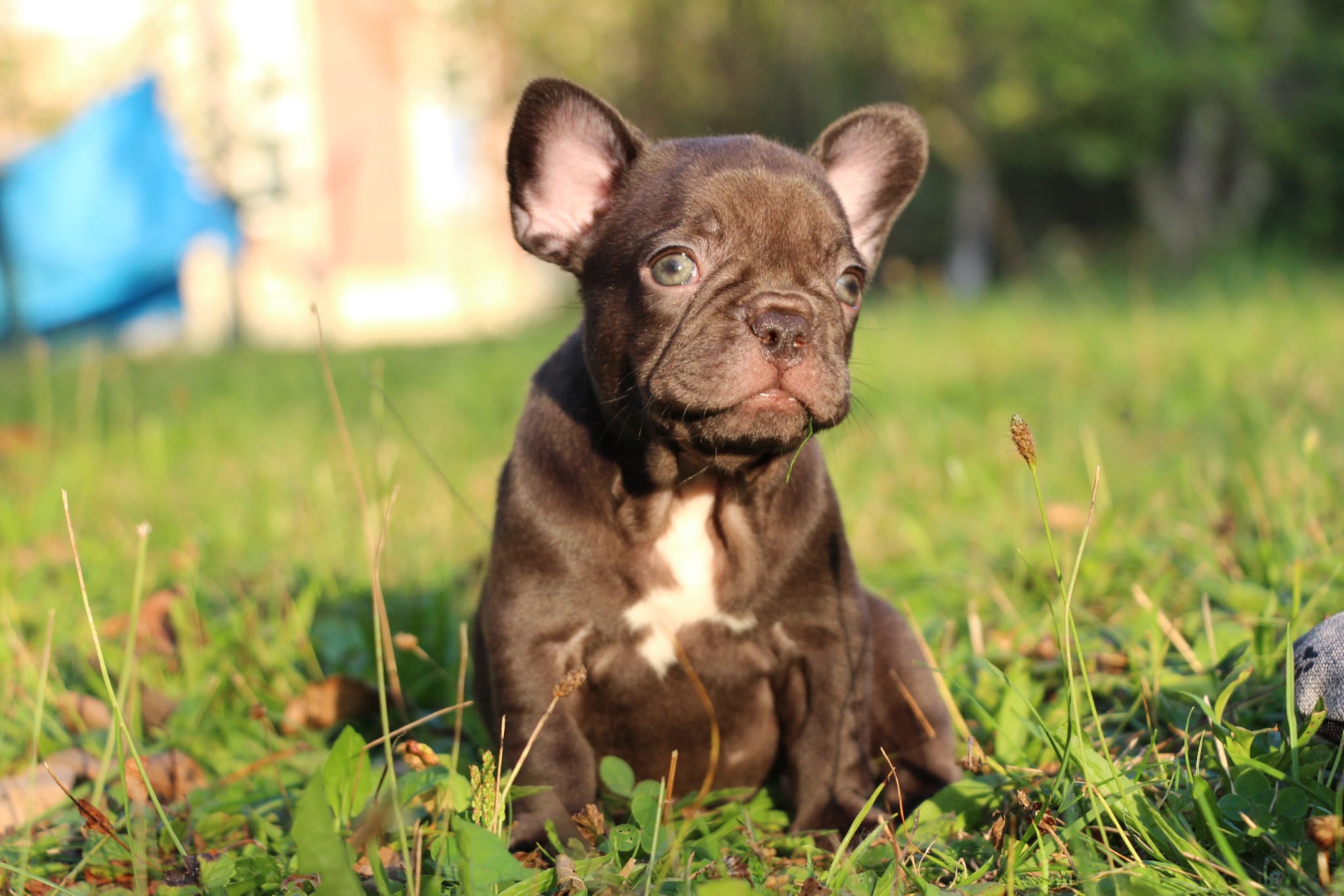 <svg class='green'></svg> <b>Nori</b> <svg class='green'></svg>